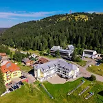 207 Feldberg (Baden-Wurttemberg)