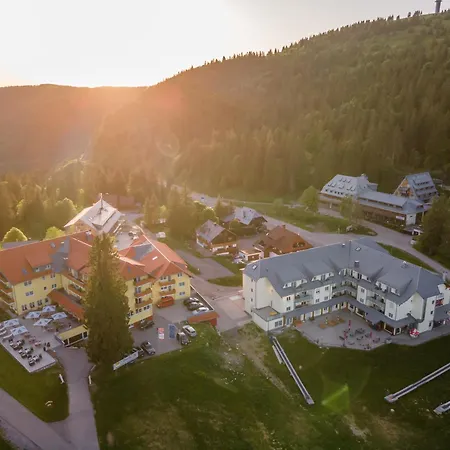 207 * Feldberg (Baden-Wurttemberg)