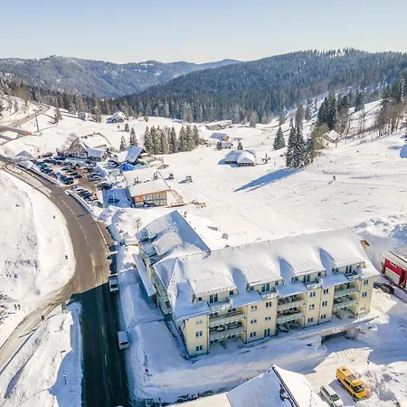 207 Feldberg (Baden-Wurttemberg)