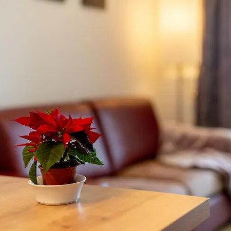 Apartament 207