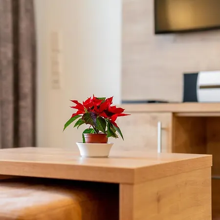 207 Apartament *