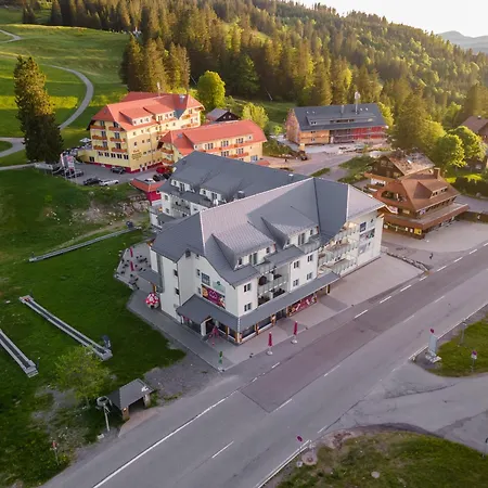 207 Apartament Feldberg (Baden-Wurttemberg)